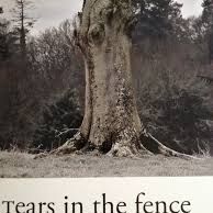 Tears in the Fence
